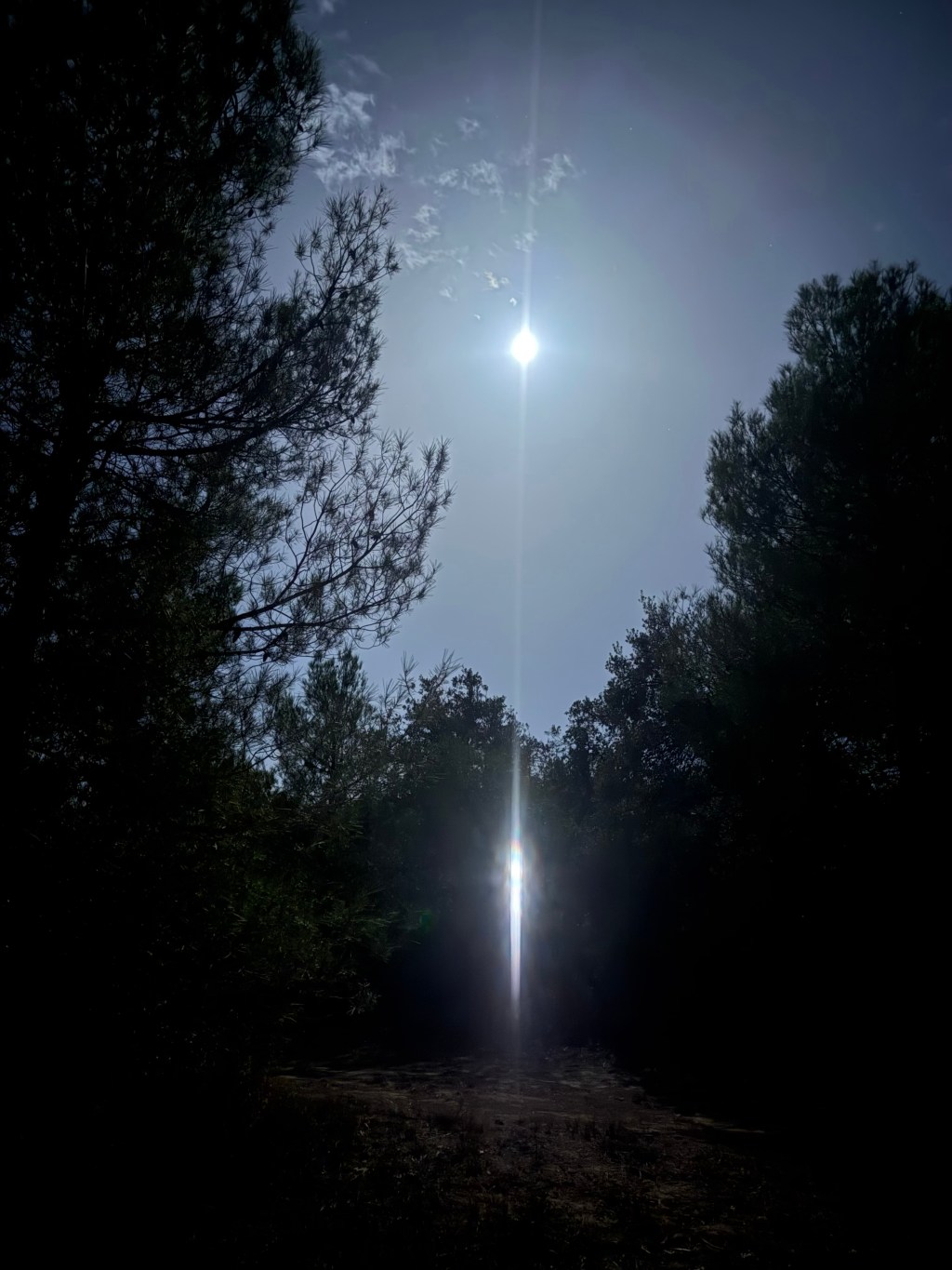 Under the Blood&nbsp;Moon