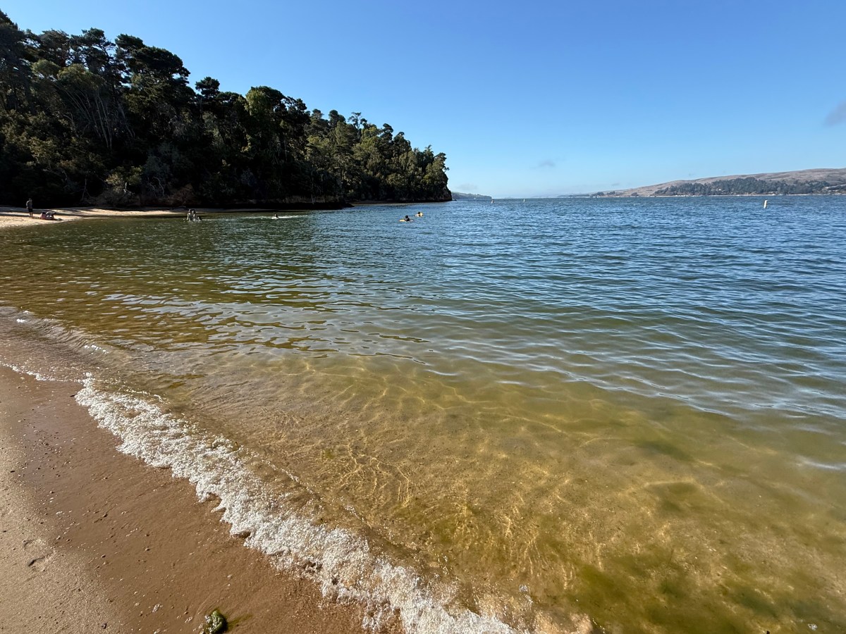 Falling In Love With&nbsp;Yourself