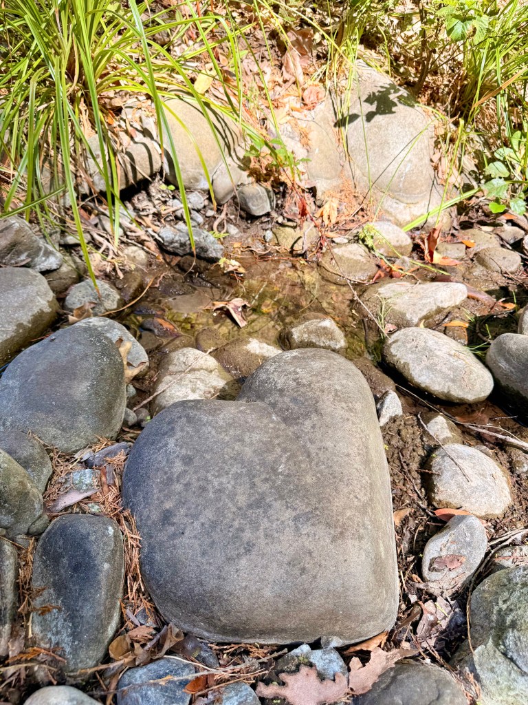 A heart-shaped stone surrounded by smaller rocks and greenery near a shallow stream.